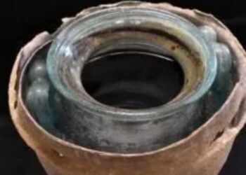 Vinho mais antigo encontrado em urna funerria em tumba roman