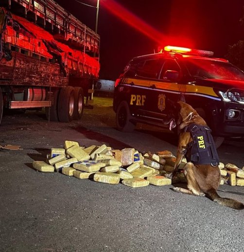 Nervosismo de caminhoneiro entrega carregamento de supermaconha