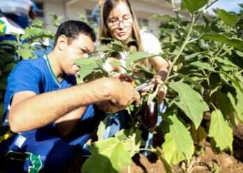 Revista ter artigos sobre educao ambiental e quilombola