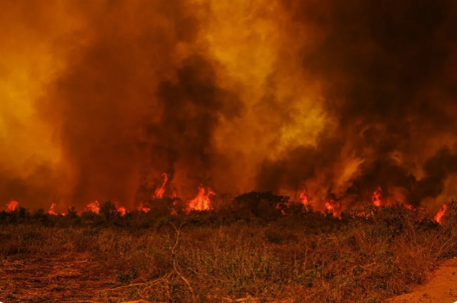 MT é o estado com mais focos de calor; número
