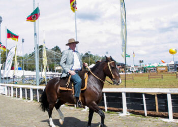 De volta às origens | RDNEWS