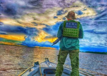 Polícia Civil intensifica repressão a crimes ambientais com 30 operações em cinco meses