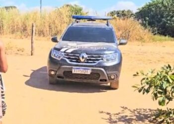 Suspeito é preso em flagrante pela Polícia Civil circular armado em vila rural
