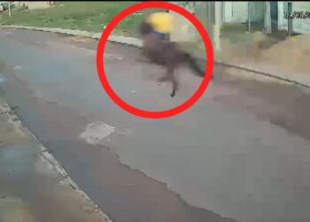 Vídeo: Pedestre é atropelada por cavalo em Itaituba, Pará