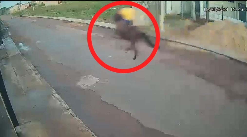 Vídeo: Pedestre é atropelada por cavalo em Itaituba, Pará