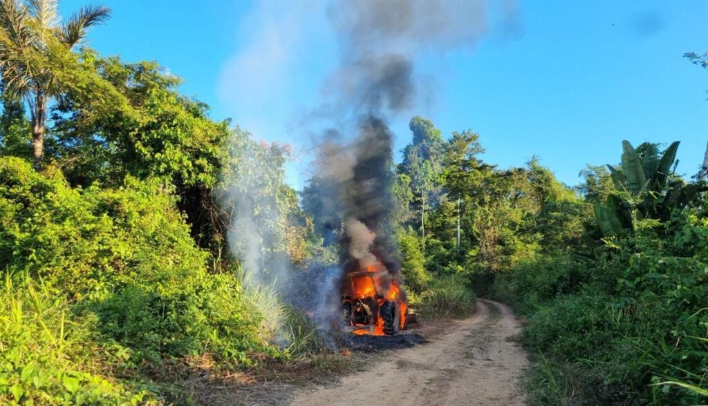 PF combate crimes ambientais - Plantão 24Horas News