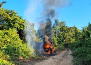 PF combate crimes ambientais – Plantão 24Horas News