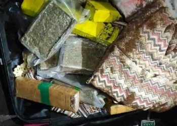 Adolescente é apreendida em flagrante transportando 20 tabletes de maconha em ônibus para interior de MT.