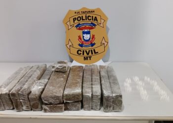Polícia Civil apreende 13 tabletes de maconha em Tapurah