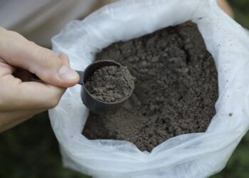 ‘Fábrica’ de solo: Startup usa de pó de rochas na agricultura como opção a fertilizantes importados e combate às mudanças climáticas | Piracicaba e Região