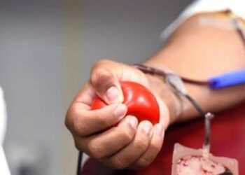 Até março deste ano, foram realizadas mais de 25 mil doações no Pará