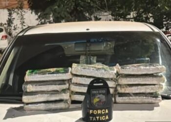 Força Tática prende dois homens e apreende 12 tabletes de maconha