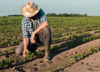 Produtor de MT tem ensino superior e dedica mais de 20 anos ao campo | RDNEWS
