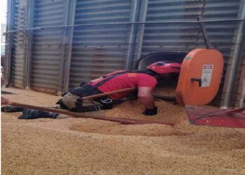 Trabalhador cai dentro de silo em fazenda e morre soterrado por grãos de soja | RDNEWS