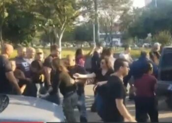 Veterinria de ONG agredida durante apreenso de animais