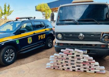 Apreensão de Skunk na BR 070 em Primavera do Leste/MT