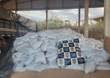 Polícia Civil recupera caminhão e reboque com 40 toneladas de gergelim avaliadas em R$ 350 mil