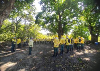 Brigada do Prevfogo em Itaituba intensifica ações de prevenção a incêndios florestais