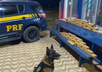 Combate ao tráfico de drogas em ônibus interestaduais