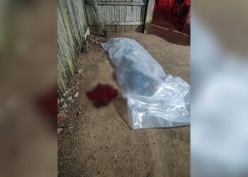 Homicídio brutal choca comunidade de Rurópolis no sudoeste do Pará