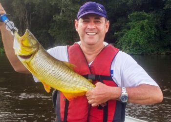 Lei de deputado reconhece peixe Dourado como símbolo da fauna aquática de MT.
