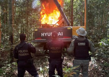 Operação Polígono Combate Garimpo Ilegal e Desmatamento na Região de Itaituba, no Pará
