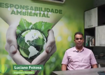 Proflora Consultoria Meio Ambiente Mato Grosso Rondonópolis.
