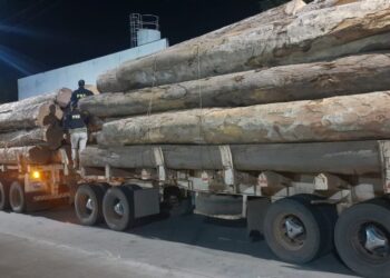 Apreensão de 72,42 m³ de madeira nativa transportada irregularmente