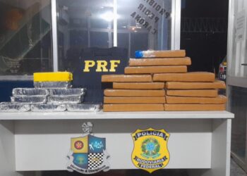 PRF e PM apreendem entorpecentes na BR 364 em Mato Grosso