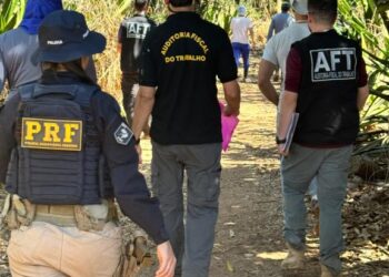 PRF e Órgãos Federais realizam operação contra trabalho escravo em Mato Grosso
