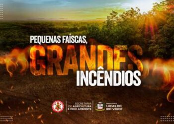 Período proibitivo de queimadas inicia e Prefeitura cede brigadistas para auxiliar autoridades