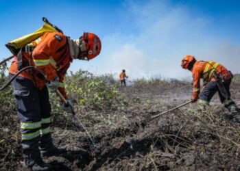 Corpo de Bombeiros segue no combate ao incndio no Pantanal