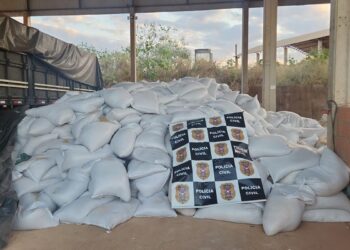 Polícia Civil recupera caminhão e reboque com 40 toneladas de gergelim