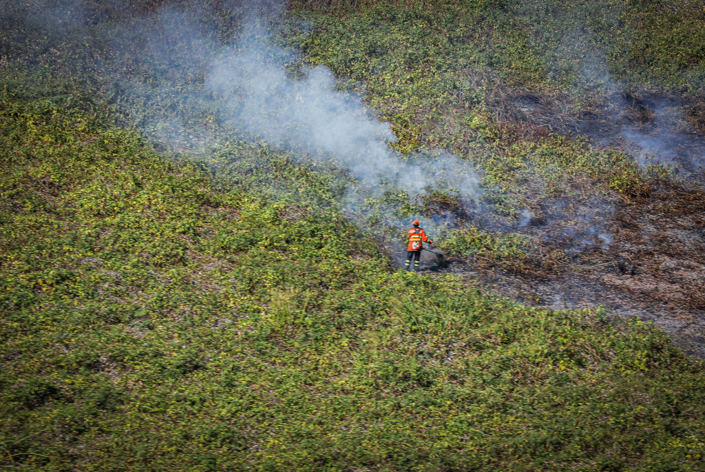 Corpo de Bombeiros combatem Incï¿½ndios no Pantanal