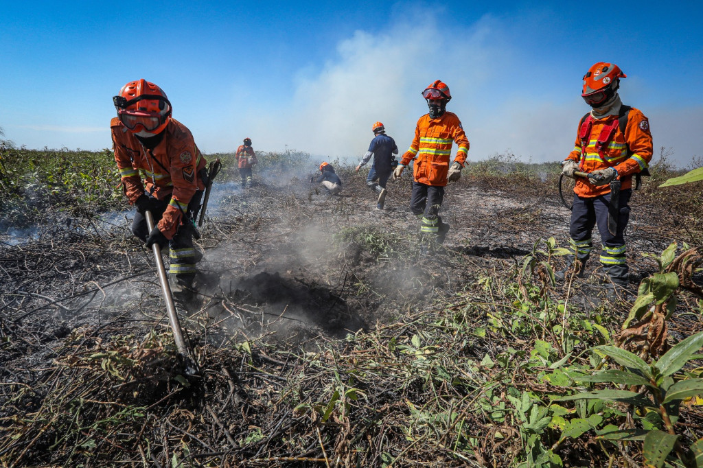 Bombeiros combate a incï¿½ndios florestais