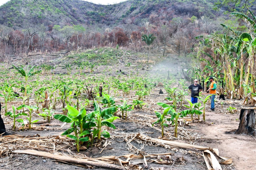 Prefeitura de Cuiabï¿½ avalia danos causados por incï¿½ndio e leva auxï¿½lio a produtores rurais