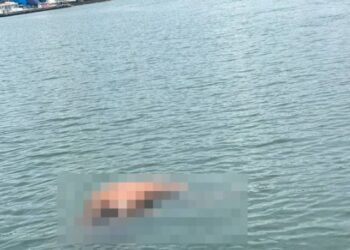 Corpo encontrado amarrado a pedras dentro do Lago Parano