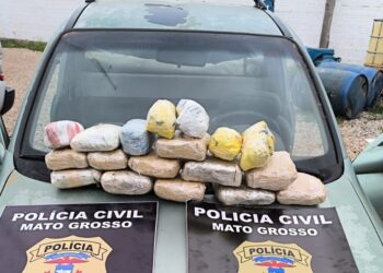 Polícia Civil prende homem que transportava 18 tabletes de maconha trazidos da Bolívia