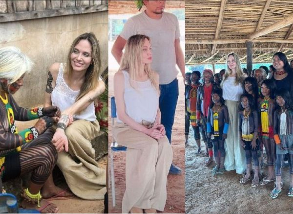 angelia jolie, peixoto de azevedo, terra indï¿½gena, raoni