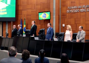 Max Russi destaca força da indústria mato-grossense em sessão solene