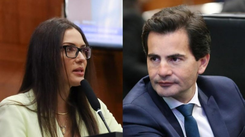 Deputada quer igualdade a todos deputados na AL-MT