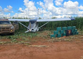 Gefron faz apreensões de R$ 230 milhões em drogas em quatro meses