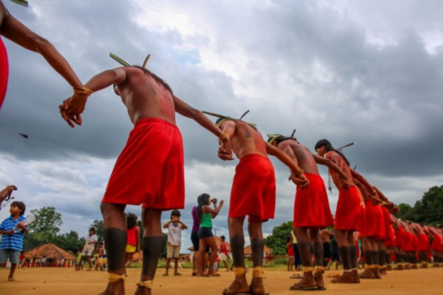 Homicídios contra povos indígenas cresce 21,4% em Mato Grosso, aponta