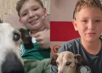 Menino emociona web ao comemorar 18 anos de cão vovô: amor nunca envelhece