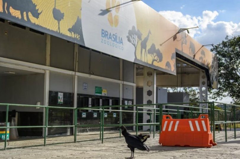 Zoolgico de Braslia fechado por suspeita de gripe aviria