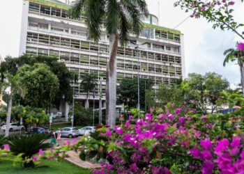 Carreira jurídica…