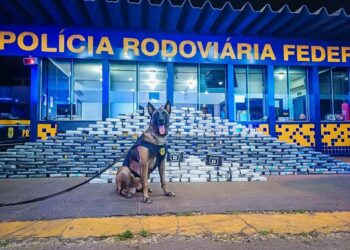 PRF apreende aproximadamente 400 kg de cocaína em Rondonópolis-MT