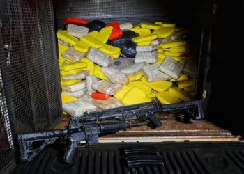 Polícia Militar apreende mais de 200 kg de drogas e realiza 77 prisões em abril no oeste do Pará