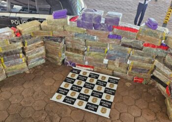 Polícia apreende mais de 1,5 tonelada de maconha em rodovia no interior de SP