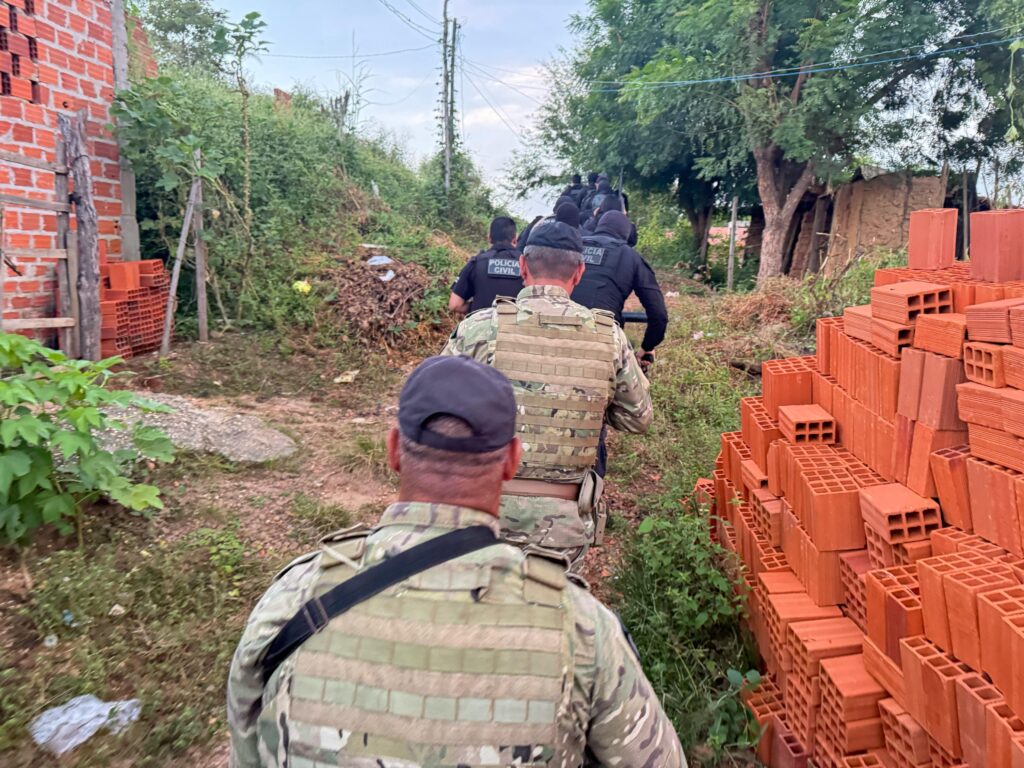Blogueira é presa pela Polícia Civil do Piauí por suspeita